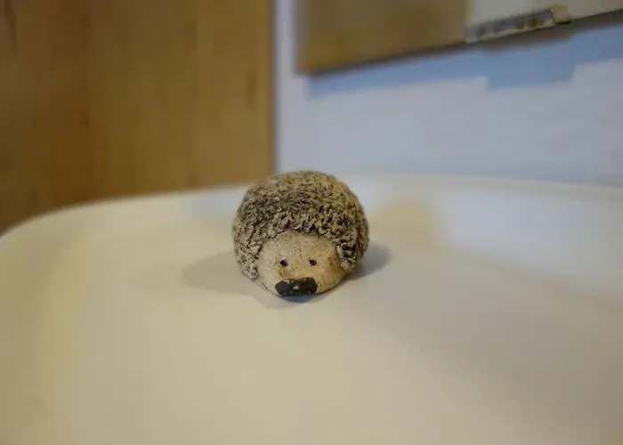 Gemuetliche Appartamento